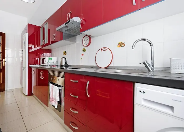 Apartamento Elena Buenavista Del Norte